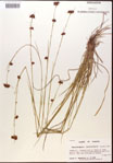 000002856-thumbnail.jpg