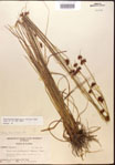 000002860-thumbnail.jpg
