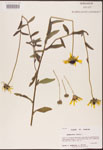 000002861-thumbnail.jpg