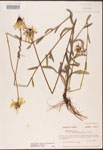 000002862-thumbnail.jpg