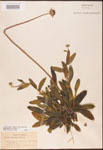 000002864-thumbnail.jpg