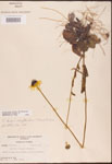000002865-thumbnail.jpg