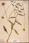 000002866-thumbnail.jpg