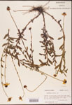 000002867-thumbnail.jpg