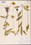 000002868-thumbnail.jpg