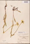 000002869-thumbnail.jpg