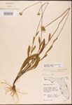000002870-thumbnail.jpg