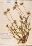 000002871-thumbnail.jpg