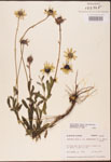 000002872-thumbnail.jpg