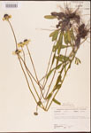 000002873-thumbnail.jpg