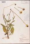 000002874-thumbnail.jpg