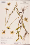 000002877-thumbnail.jpg