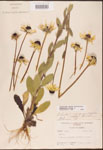 000002879-thumbnail.jpg