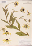 000002881-thumbnail.jpg
