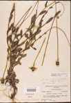 000002882-thumbnail.jpg