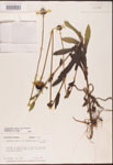 000002883-thumbnail.jpg