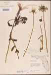 000002884-thumbnail.jpg