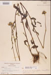000002885-thumbnail.jpg