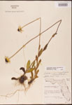 000002886-thumbnail.jpg