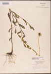 000002888-thumbnail.jpg