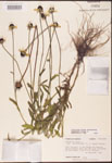 000002889-thumbnail.jpg