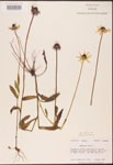 000002890-thumbnail.jpg