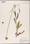 000002892-thumbnail.jpg