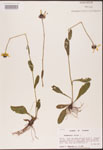 000002893-thumbnail.jpg