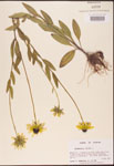 000002894-thumbnail.jpg