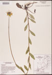 000002895-thumbnail.jpg