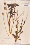 000002896-thumbnail.jpg