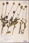 000002897-thumbnail.jpg