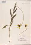 000002898-thumbnail.jpg