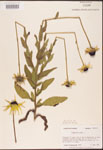 000002899-thumbnail.jpg