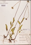 000002901-thumbnail.jpg
