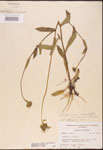 000002904-thumbnail.jpg