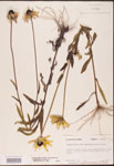 000002906-thumbnail.jpg