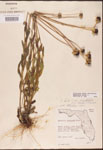 000002907-thumbnail.jpg