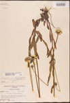000002908-thumbnail.jpg