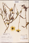 000002909-thumbnail.jpg