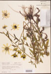 000002910-thumbnail.jpg