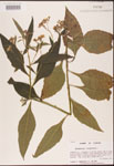 000002911-thumbnail.jpg