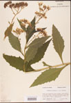 000002912-thumbnail.jpg