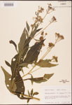 000002914-thumbnail.jpg