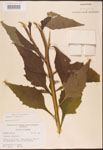 000002922-thumbnail.jpg