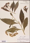 000002927-thumbnail.jpg