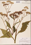 000002928-thumbnail.jpg