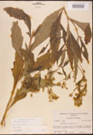 000002929-thumbnail.jpg