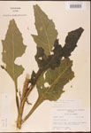000002934-thumbnail.jpg