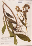 000002935-thumbnail.jpg